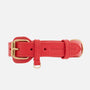 Leather Dog Collar Chili (Red)