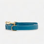 Leather Dog Leash Azure (blue)