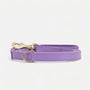 Lavender dog leash