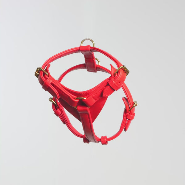 Leather dog harness Chili (Red)