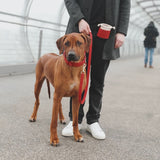 Leather Dog Leash Chili (red)
